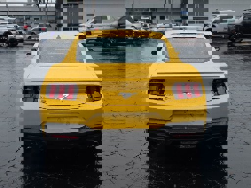 Certified 2024 Ford Mustang Premium image 11