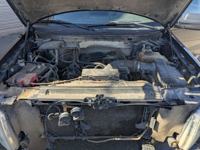 Used 2011 Ford F150 XLT image 19