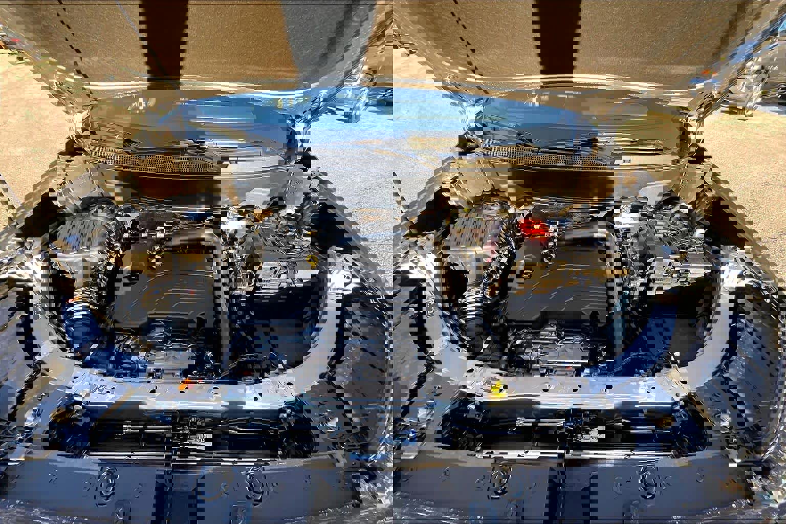 Certified 2026 GMC Terrain Elevation w/ Elevation Premium Package image 54