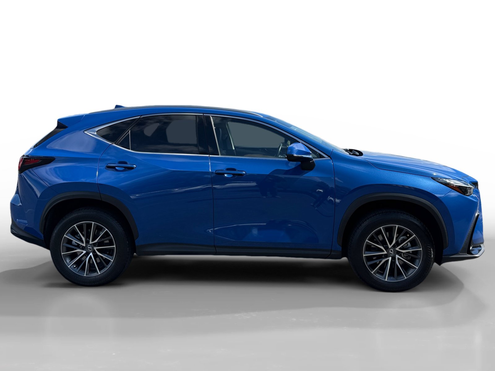 Used 2025 Lexus NX 350h AWD w/ Cold Area Package image 6