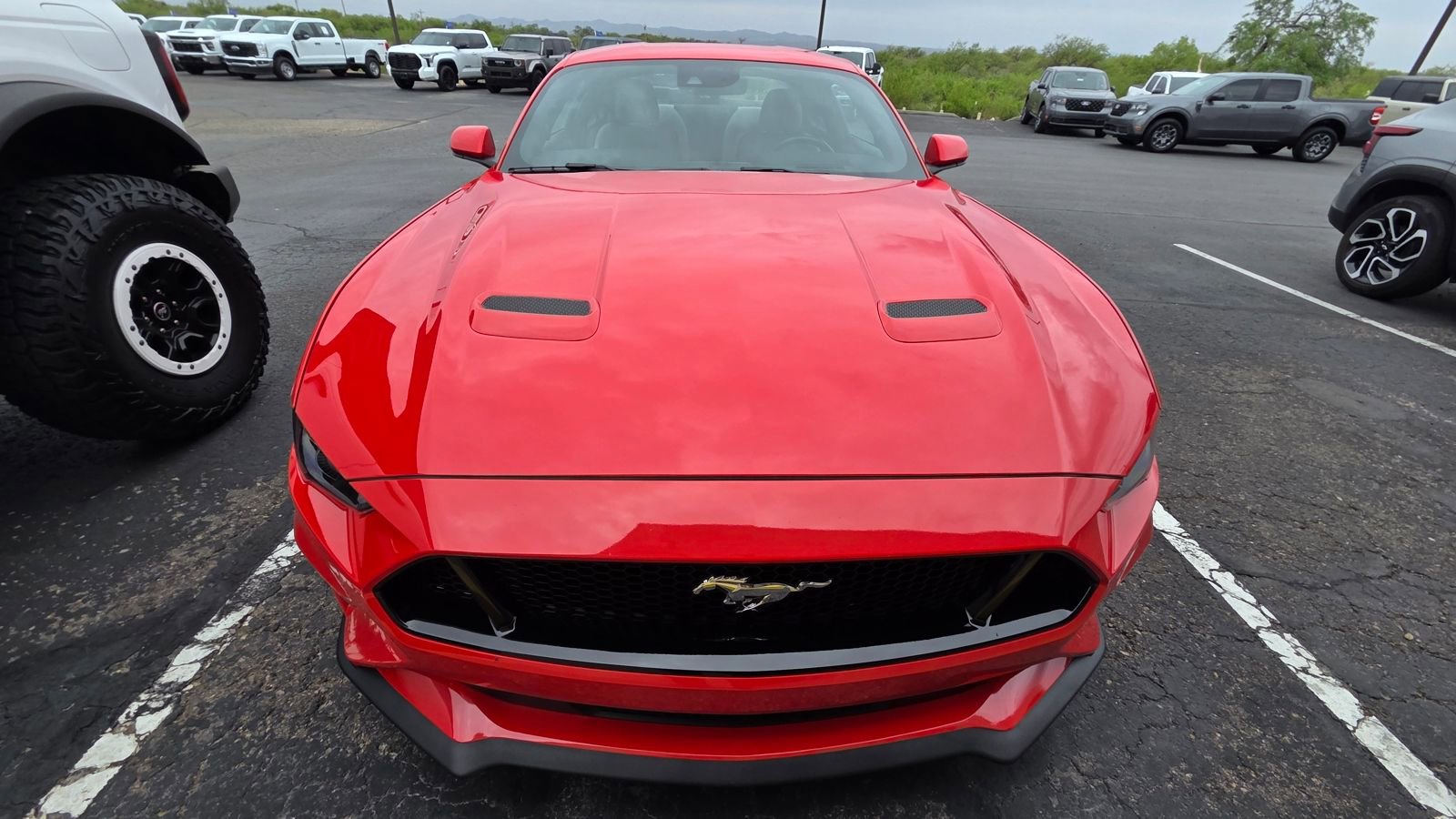 Used 2020 Ford Mustang GT w/ Equipment Group 301A image 9