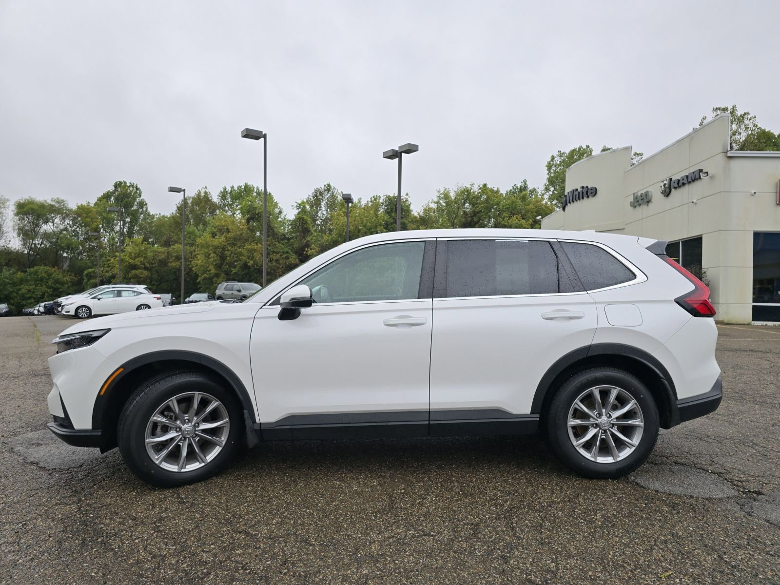 Used 2024 Honda CR-V EX-L image 12