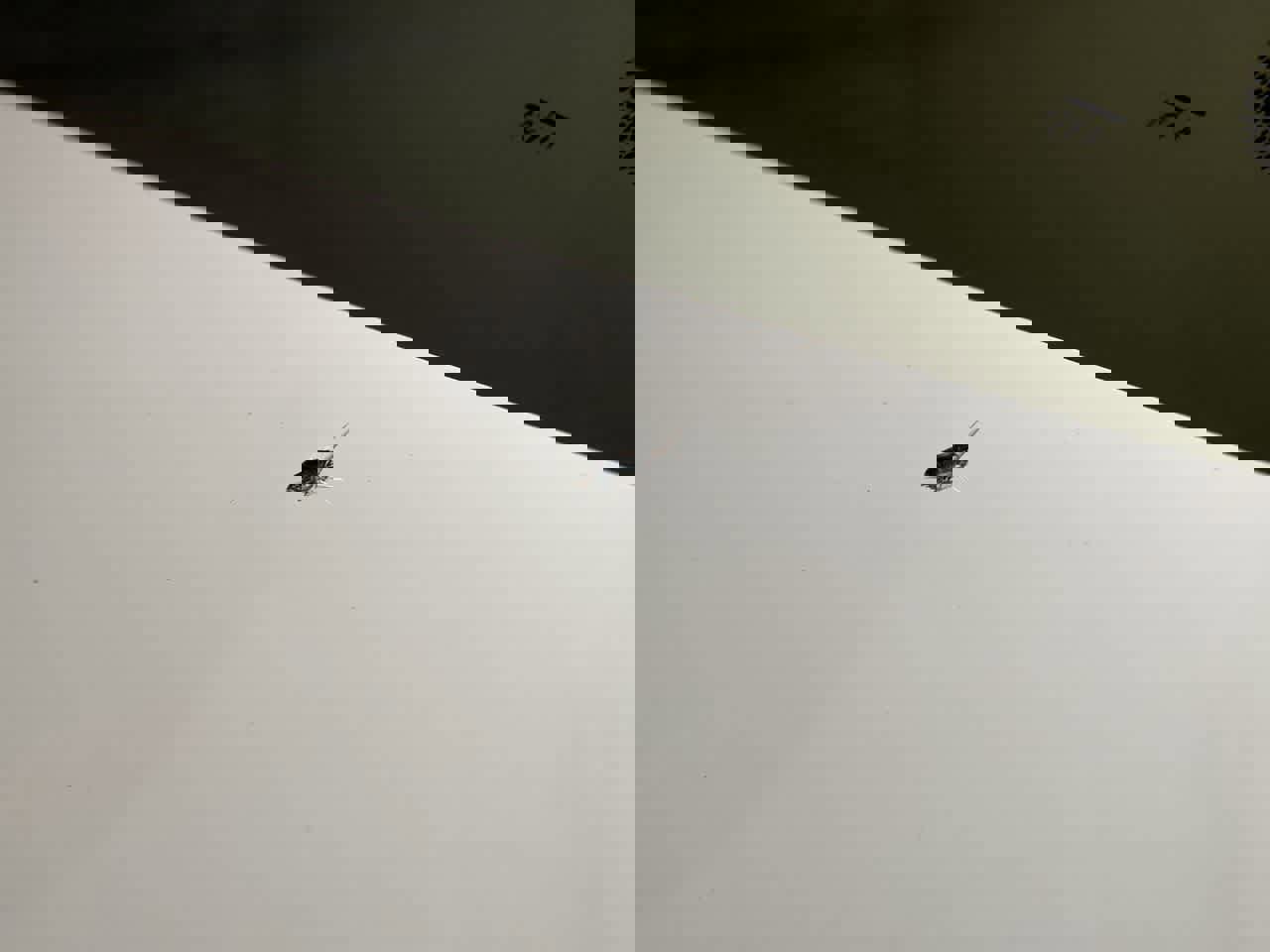 Used 2011 MAZDA MAZDASPEED3 Sport image 36