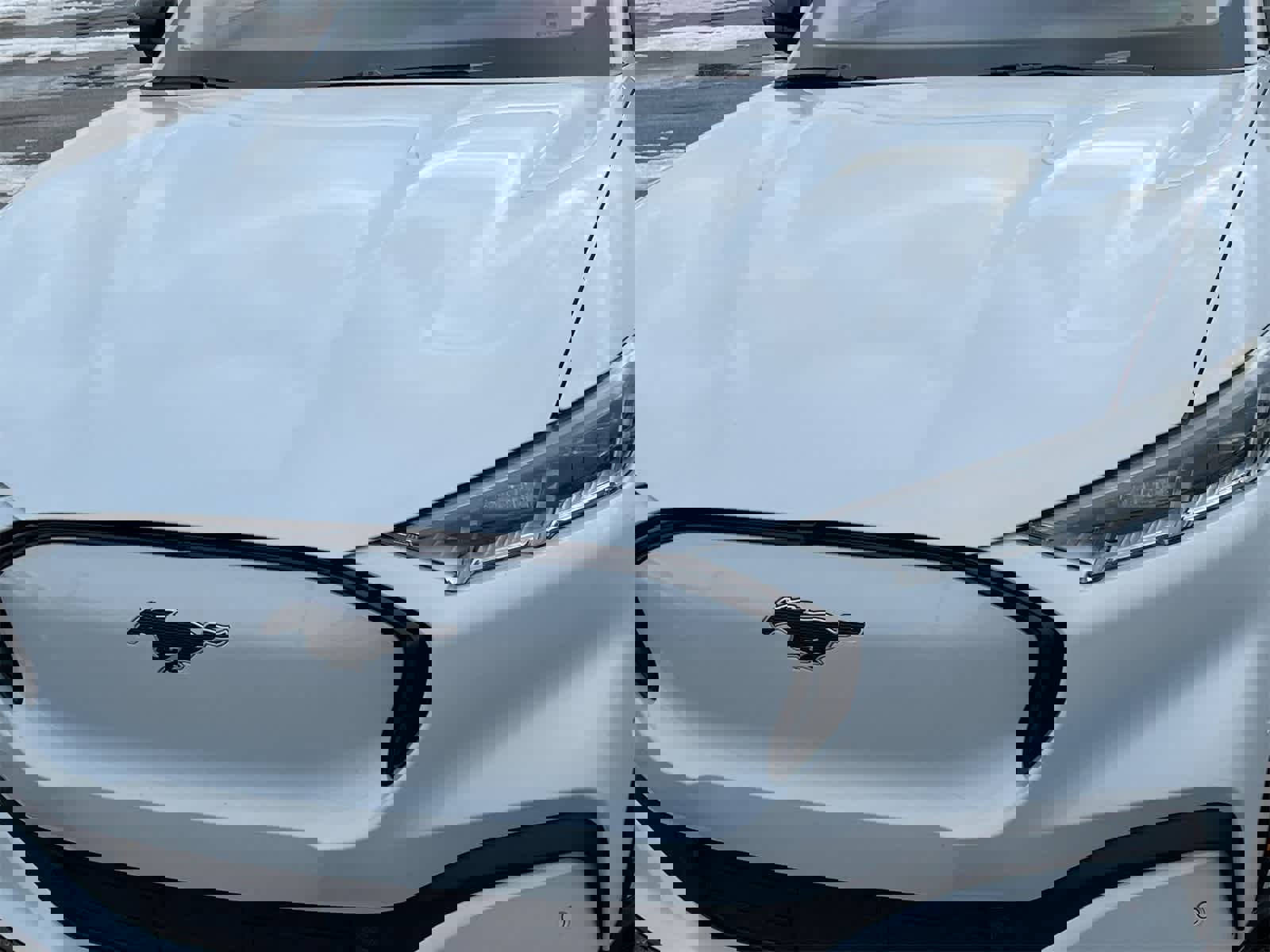 Used 2021 Ford Mustang Mach-E Premium w/ Interior Protection Package image 11