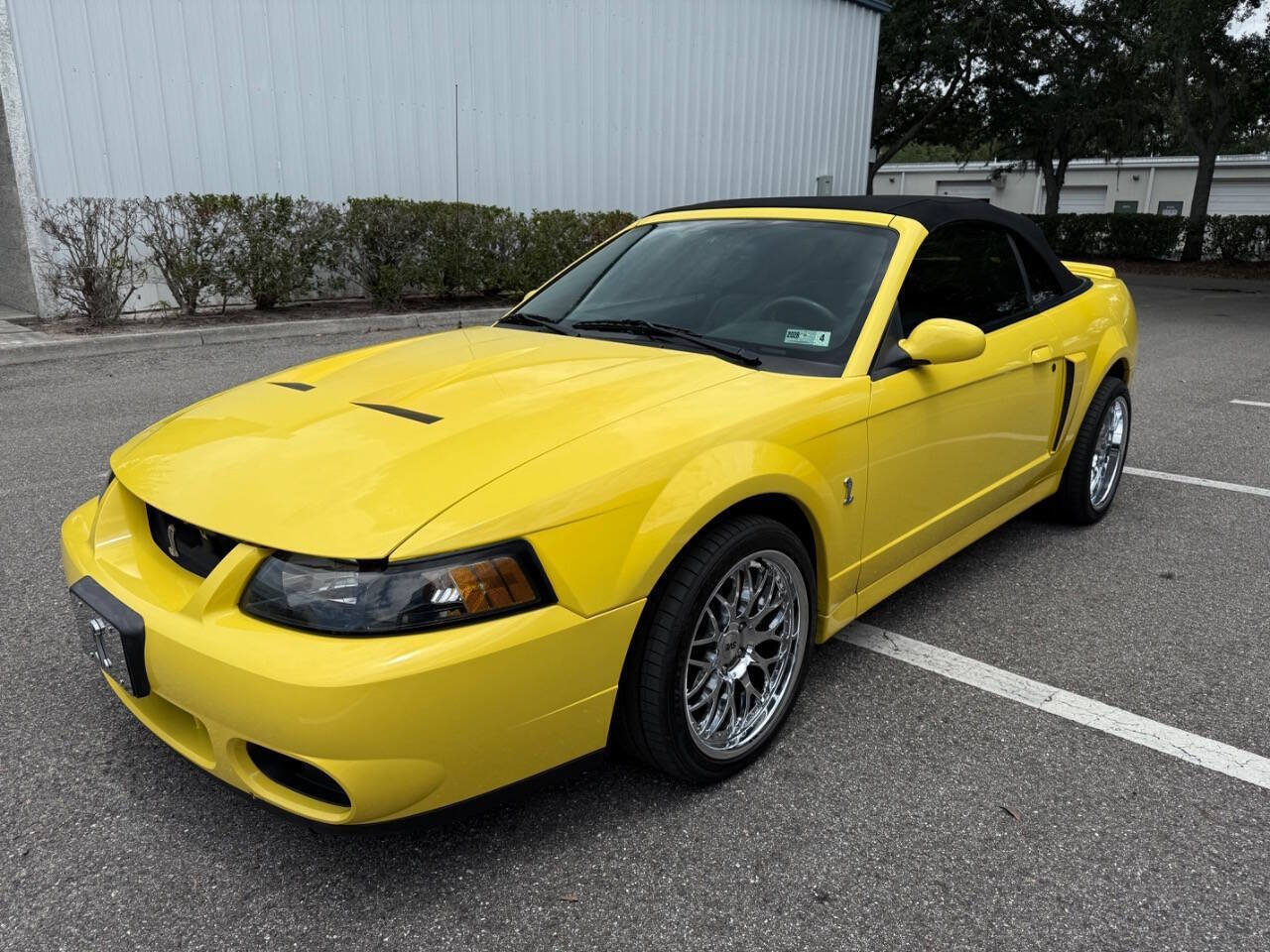Used 2003 Ford Mustang Cobra