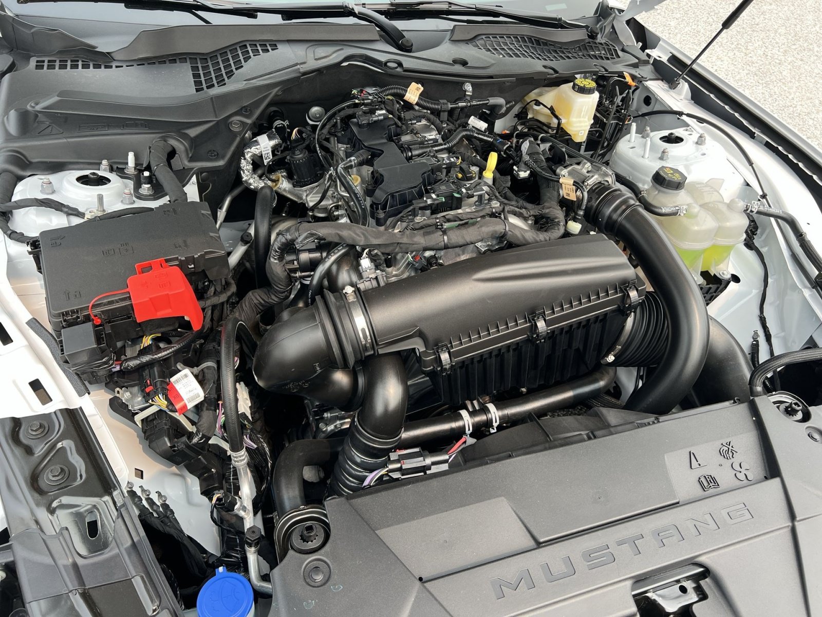 New 2026 Ford Mustang Coupe RWD image 25