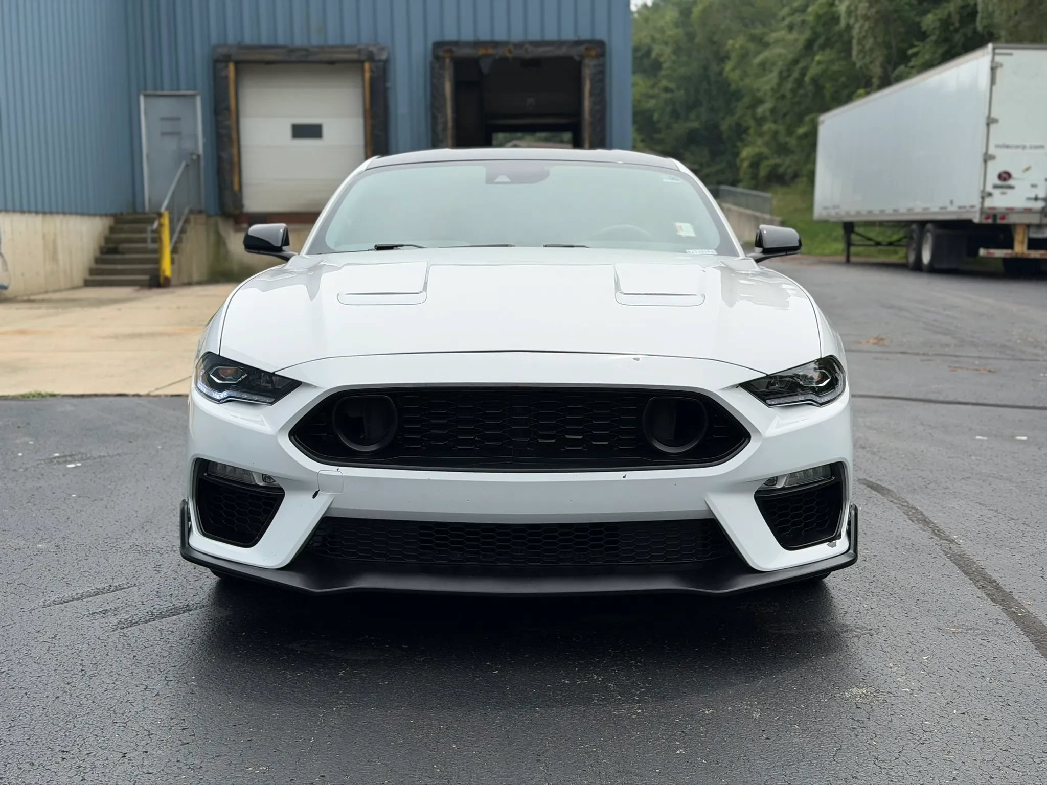 Used 2021 Ford Mustang GT w/ Equipment Group 301A RWD image 2