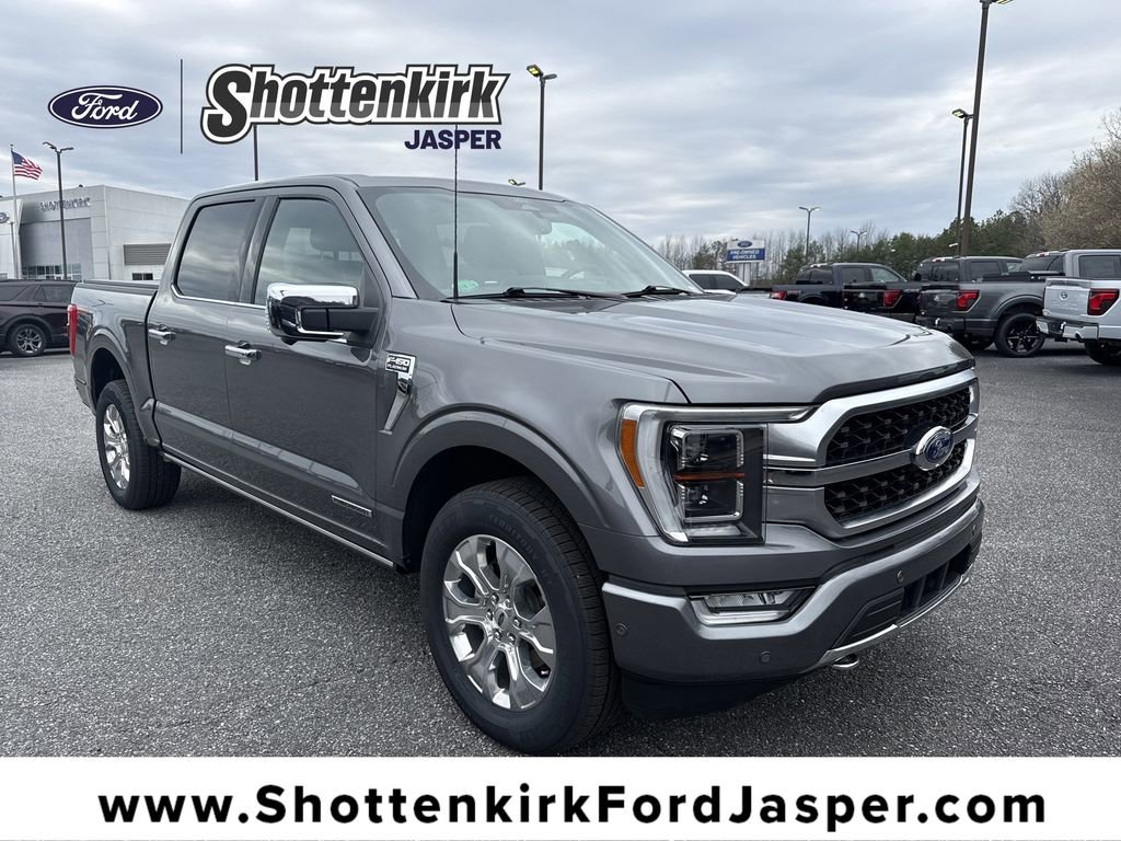 Used 2022 Ford F150 Platinum w/ Equipment Group 701A High image 1