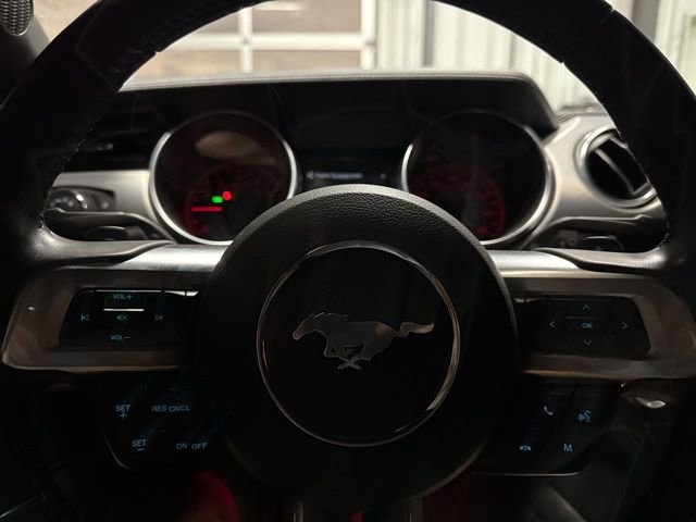 Used 2023 Ford Mustang GT w/ Equipment Group 301A image 11