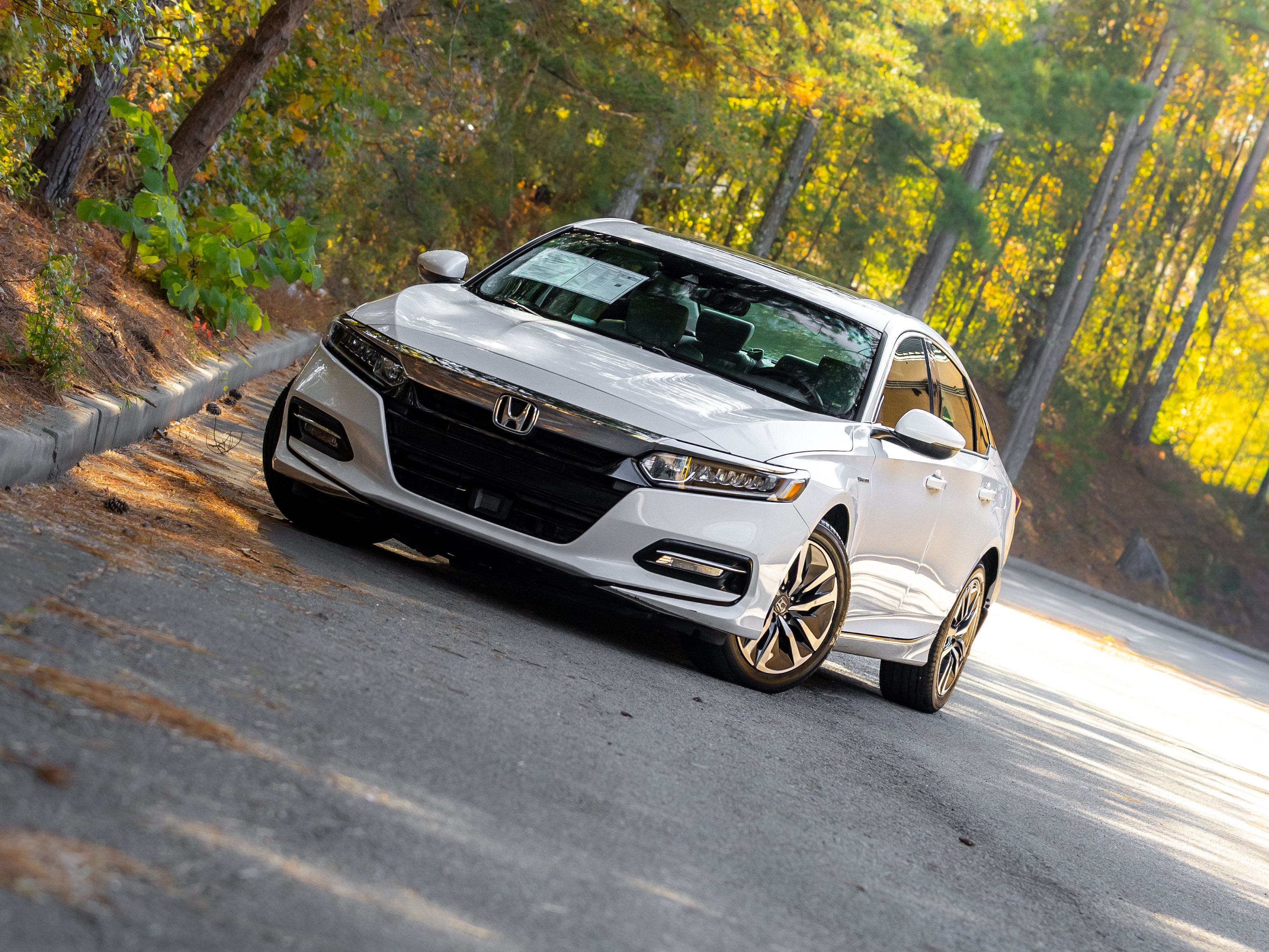 Used 2019 Honda Accord EX-L image 22