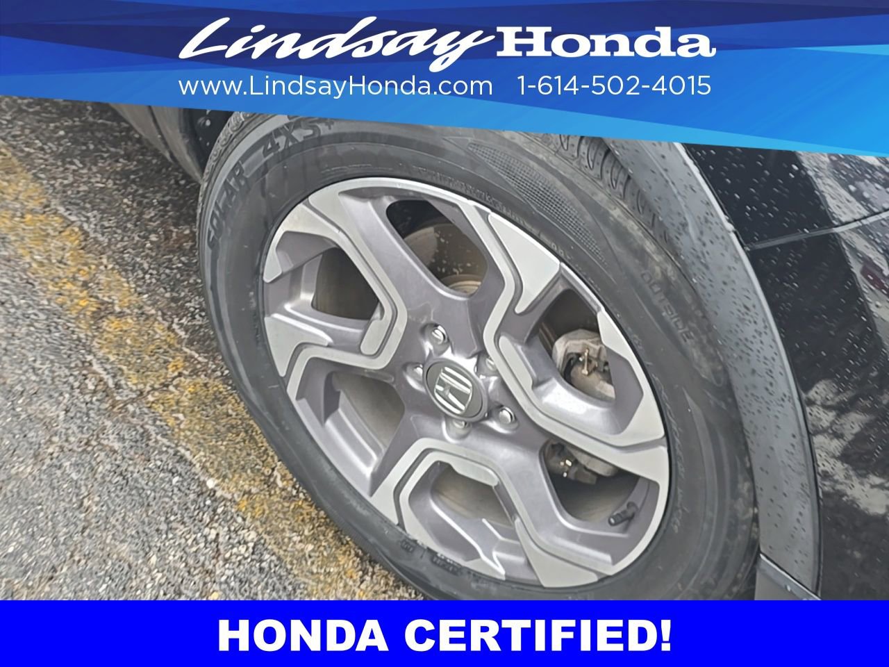 Certified 2019 Honda CR-V EX image 13