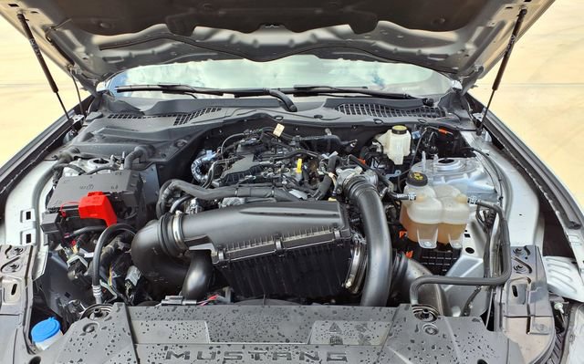 Used 2024 Ford Mustang Coupe image 34