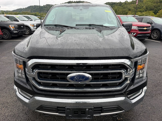 Used 2023 Ford F150 XLT w/ Equipment Group 302A High AWD/4WD image 11