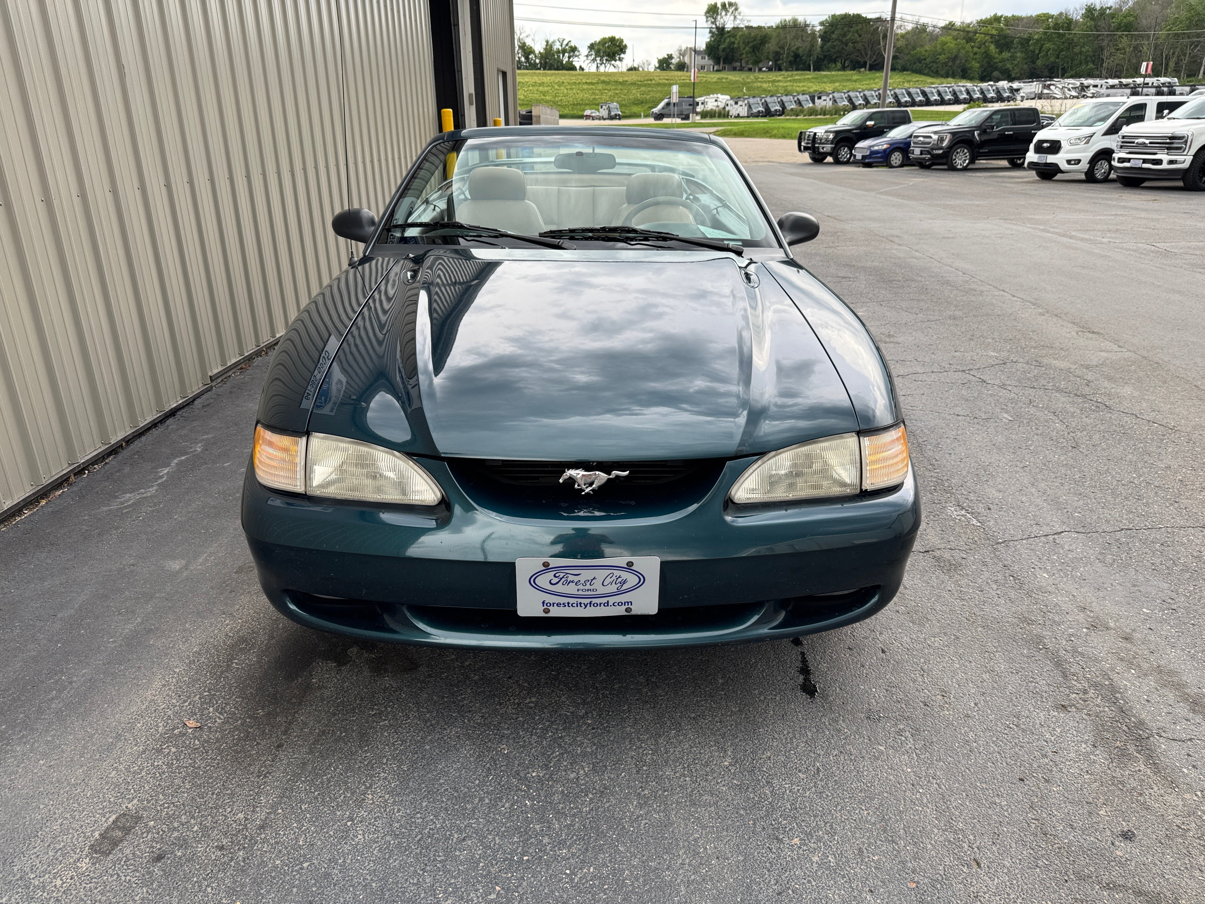 Used 1995 Ford Mustang GT RWD image 4
