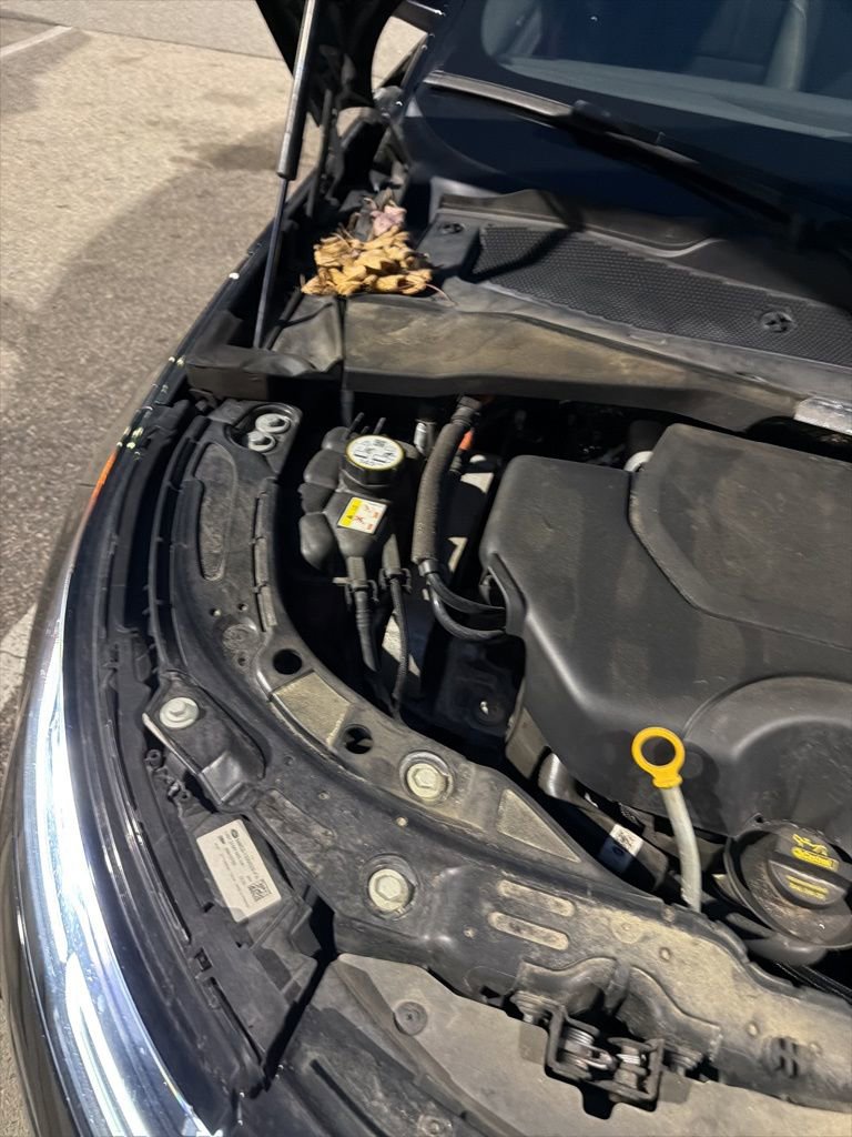 Used 2022 Land Rover Range Rover Evoque SE image 28