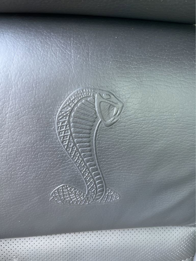 Used 2009 Ford Mustang Shelby GT500 image 14