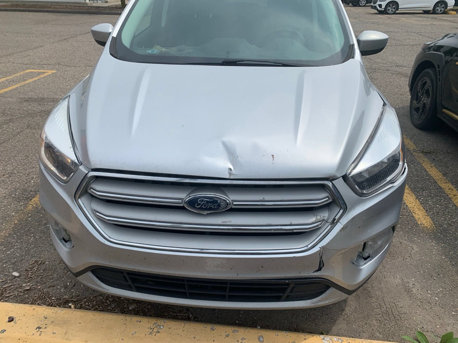 Used 2019 Ford Escape SE FWD video 2