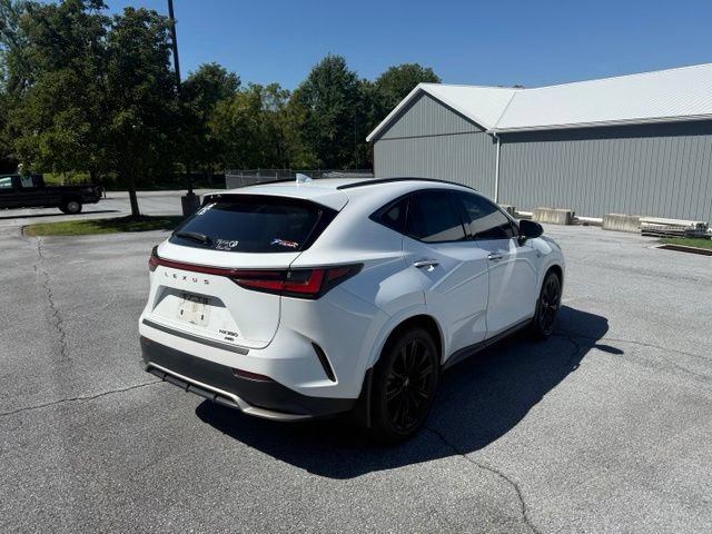 Used 2023 Lexus NX 350 F Sport AWD/4WD image 3