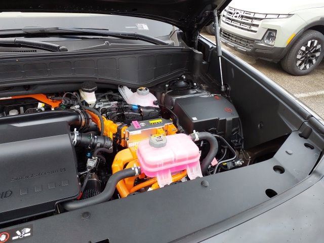 New 2026 Hyundai Palisade Calligraphy image 19