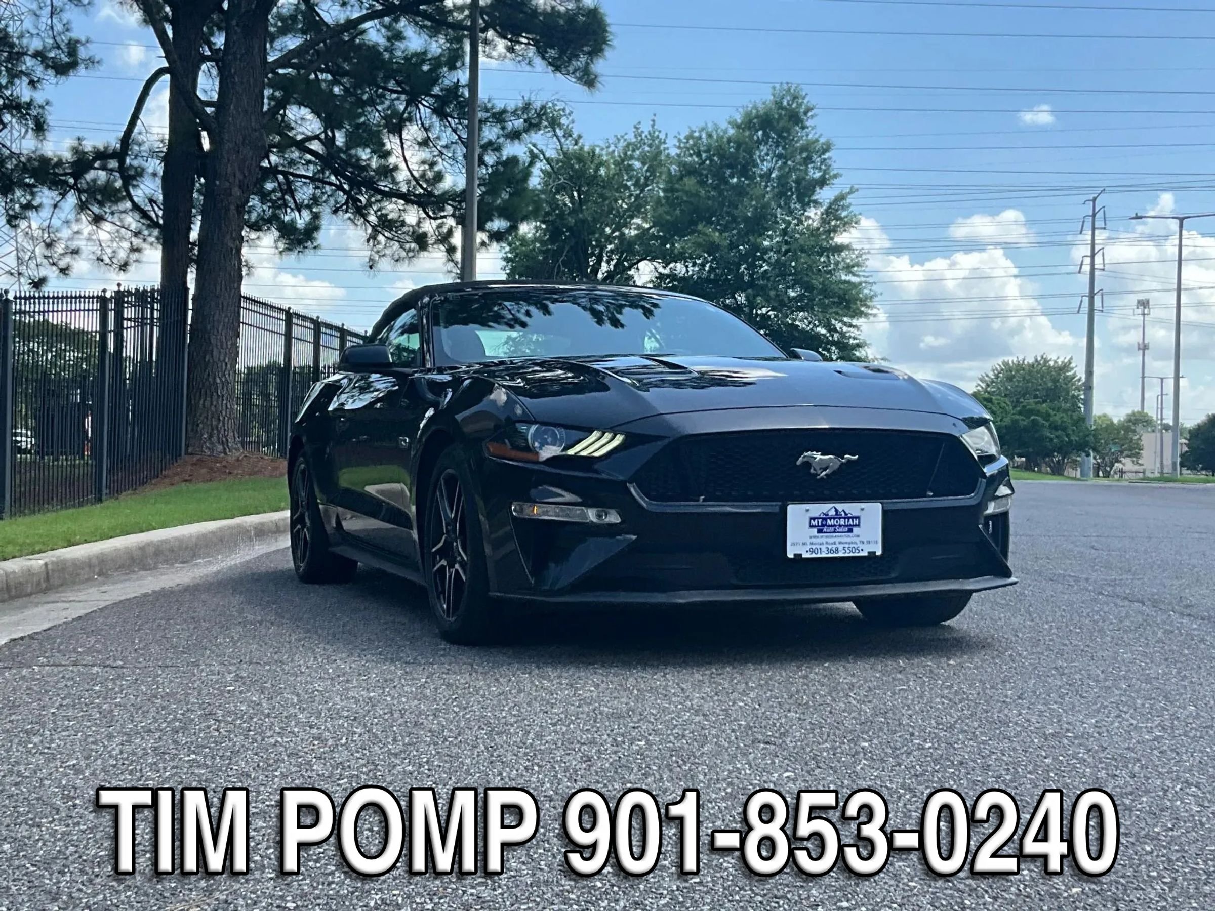 Used 2019 Ford Mustang GT Premium w/ Equipment Group 401A RWD image 3