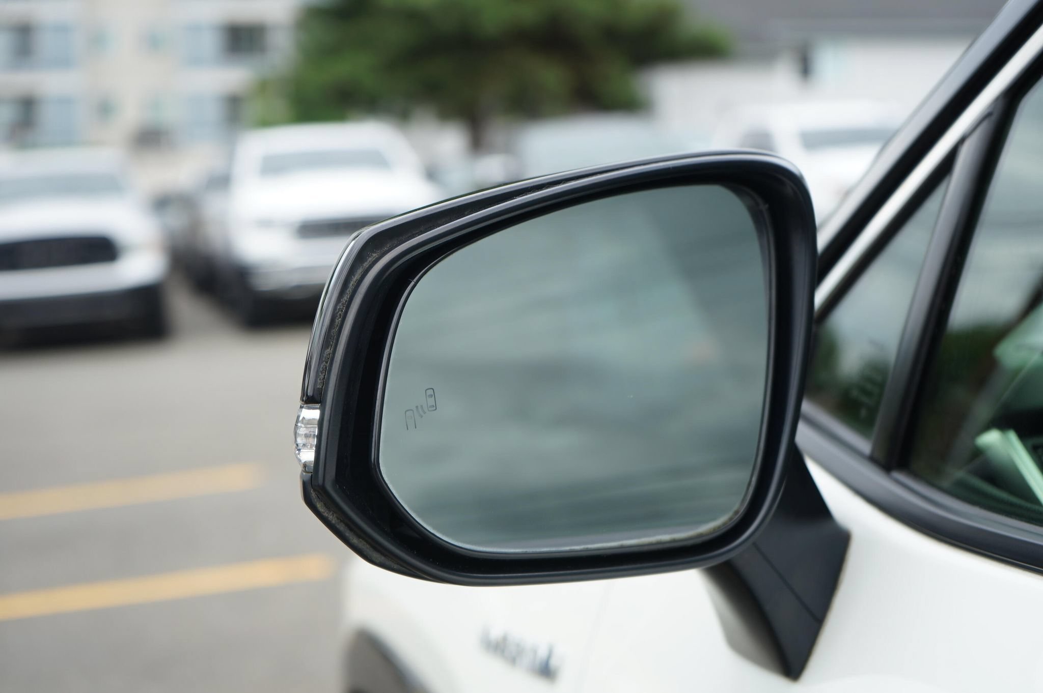 Used 2019 Toyota RAV4 XSE AWD/4WD image 9