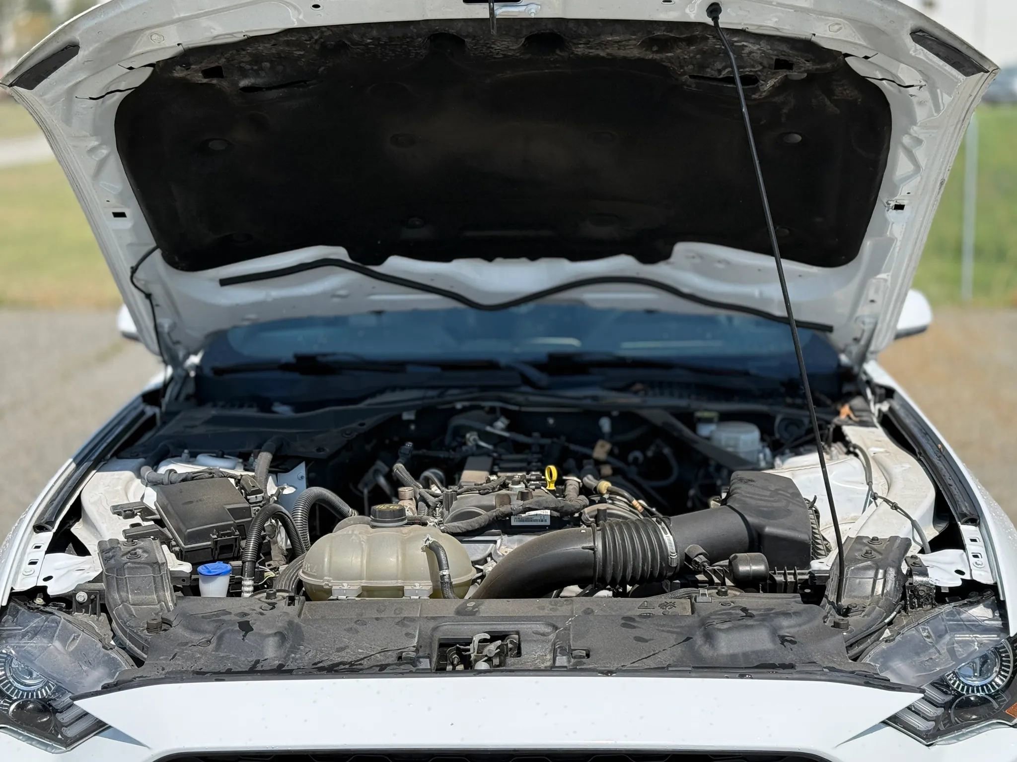 Used 2023 Ford Mustang Premium RWD image 29