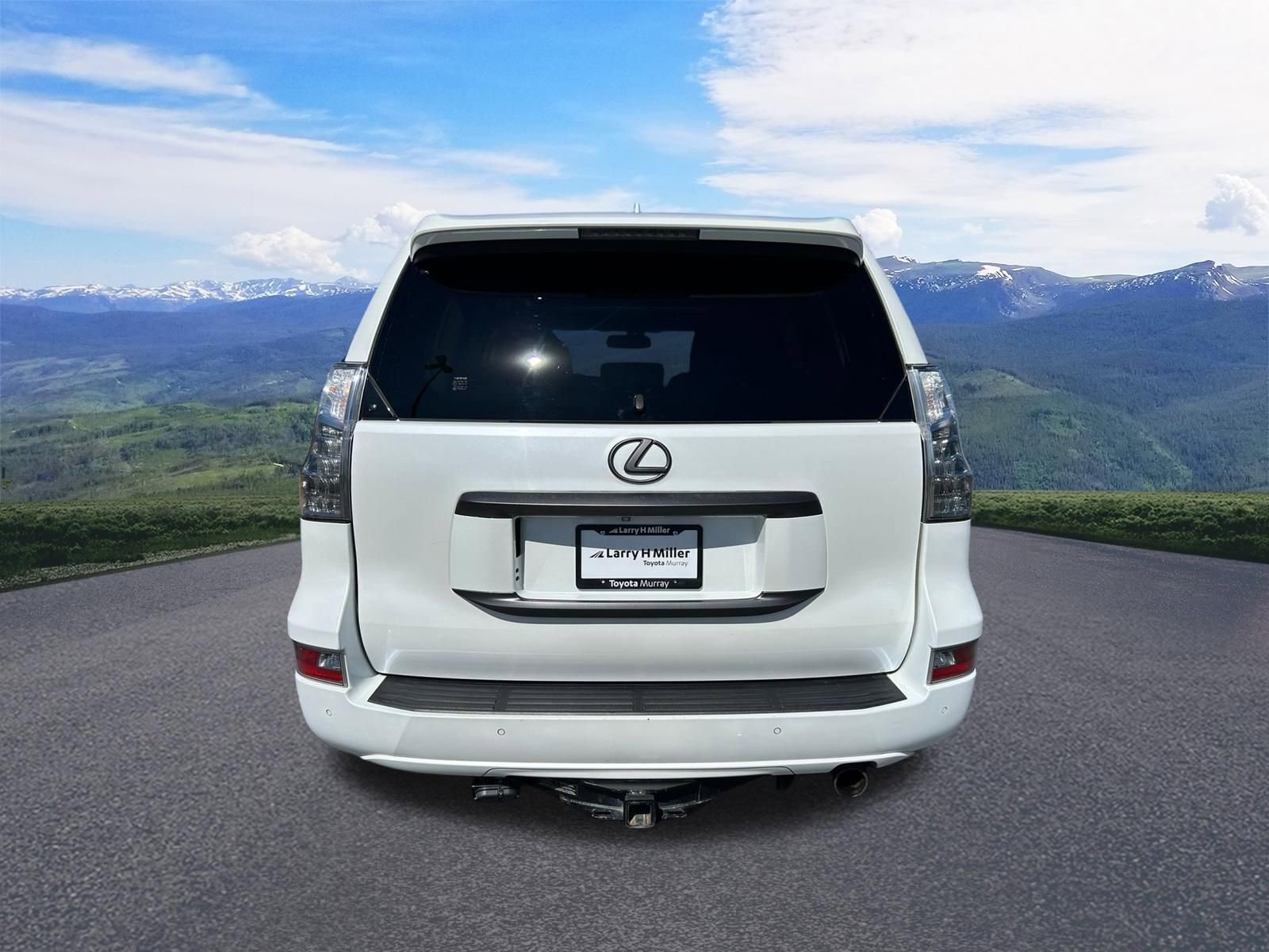 Used 2019 Lexus GX 460 Premium image 4