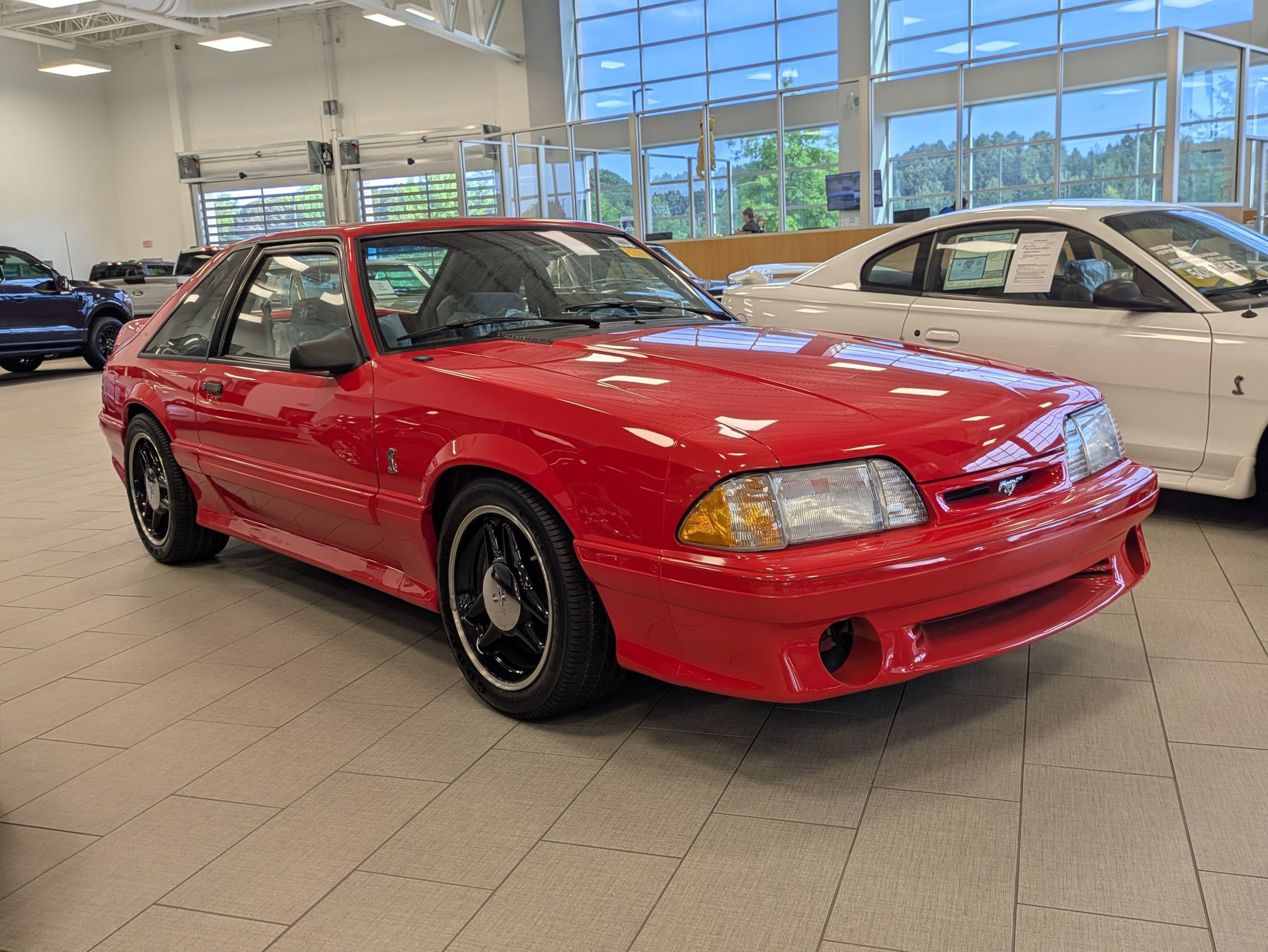 Used 1993 Ford Mustang Cobra RWD image 2
