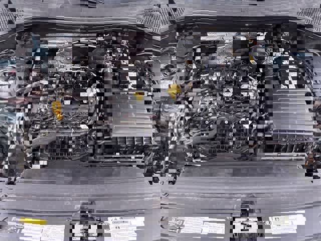 Used 2019 Volkswagen Tiguan SEL Premium image 15