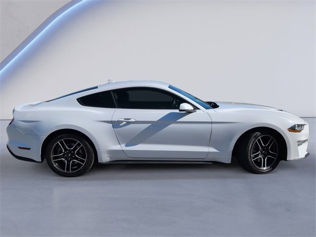Used 2023 Ford Mustang Premium w/ Equipment Group 201A image 3