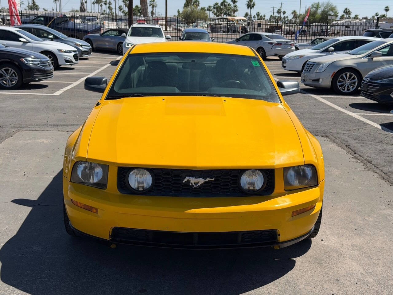 Used 2006 Ford Mustang GT RWD image 15