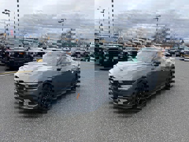 New 2026 Ford Mustang Coupe w/ Mustang Nite Pony Package image 10