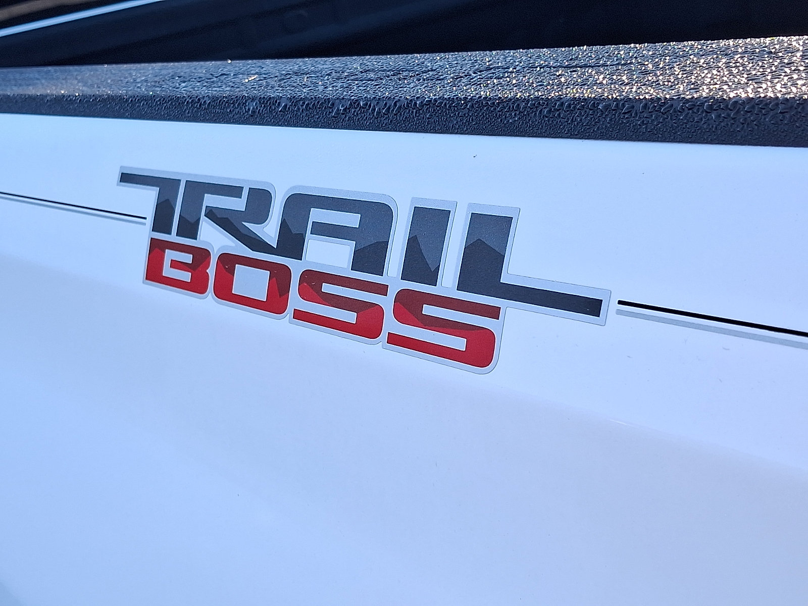 Used 2019 Chevrolet Silverado 1500 Custom Trail Boss w/ Custom Convenience Package AWD/4WD image 30