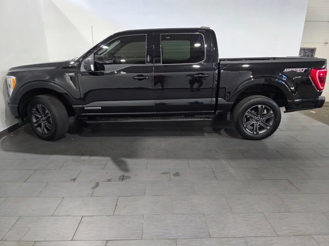 Used 2023 Ford F150 XLT w/ Equipment Group 302A High AWD/4WD image 2