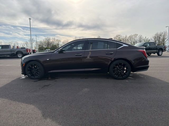 Used 2021 Cadillac CT5 Premium Luxury AWD/4WD image 12