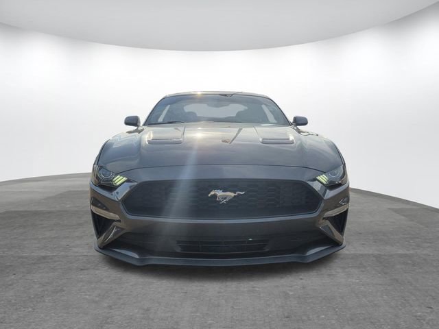 Used 2019 Ford Mustang EcoBoost image 2