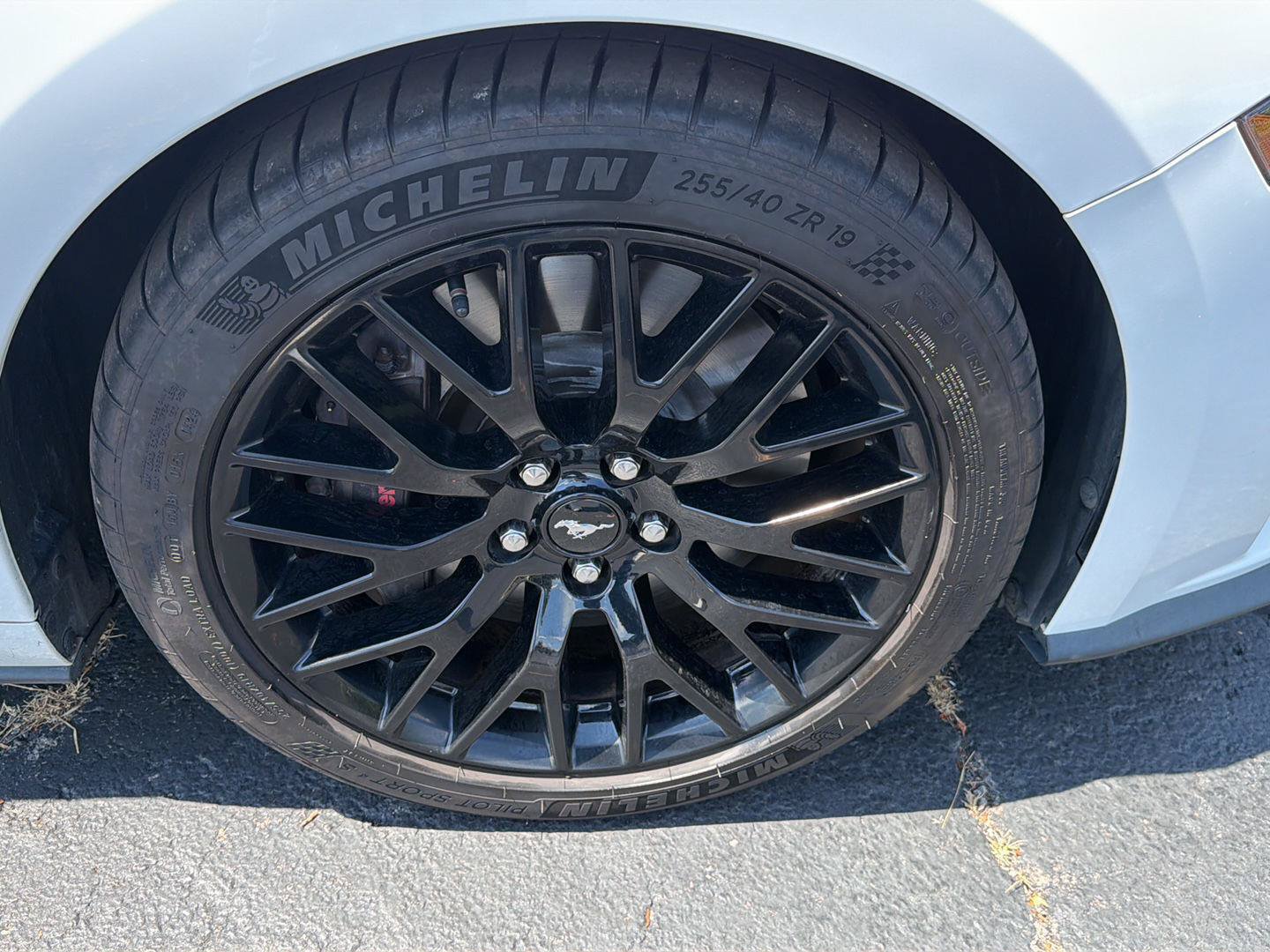 Used 2019 Ford Mustang GT Premium w/ GT Performance Package RWD image 11