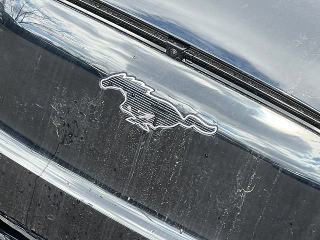 New 2026 Ford Mustang Mach-E Premium AWD/4WD image 3