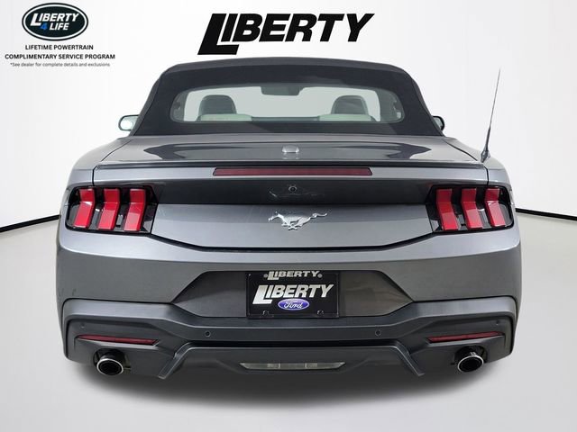 Used 2024 Ford Mustang Premium RWD image 4