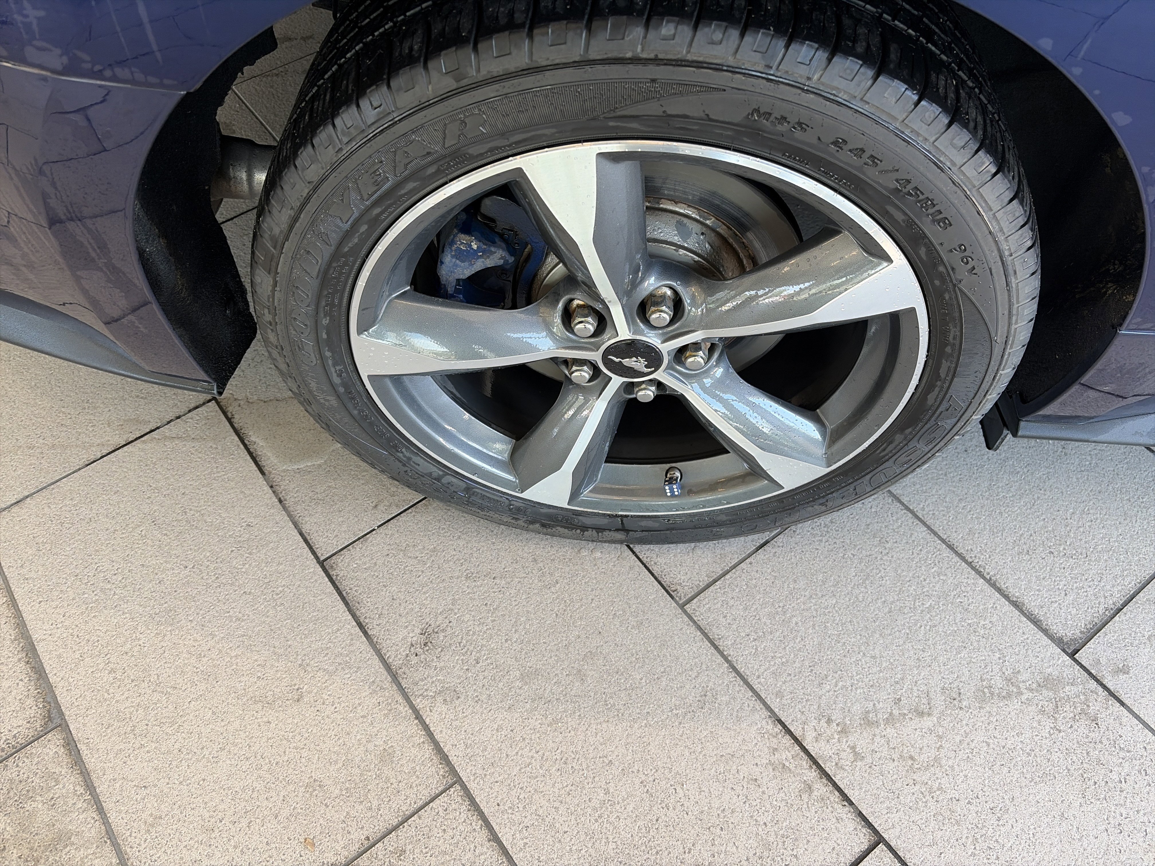 Used 2019 Ford Mustang Coupe RWD image 10