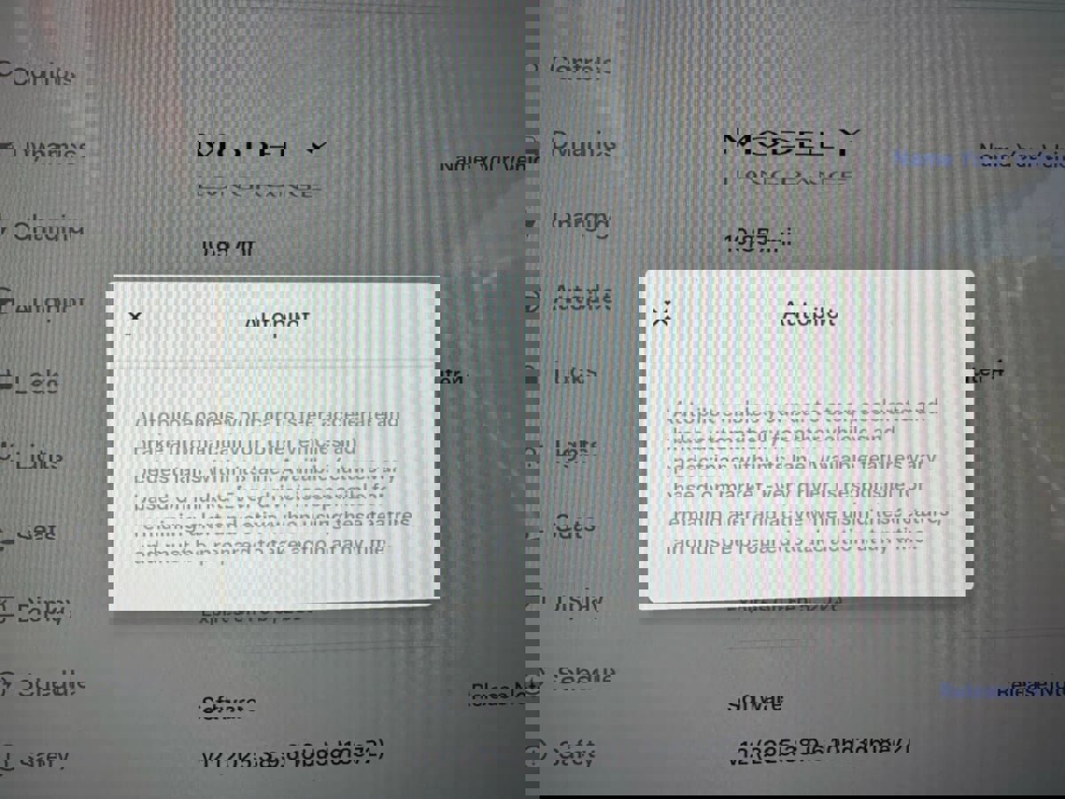 Used 2025 Tesla Model Y Long Range image 22