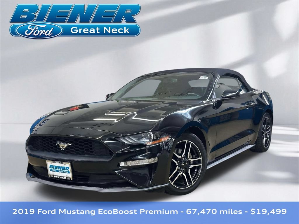 Used 2019 Ford Mustang Premium RWD image 1
