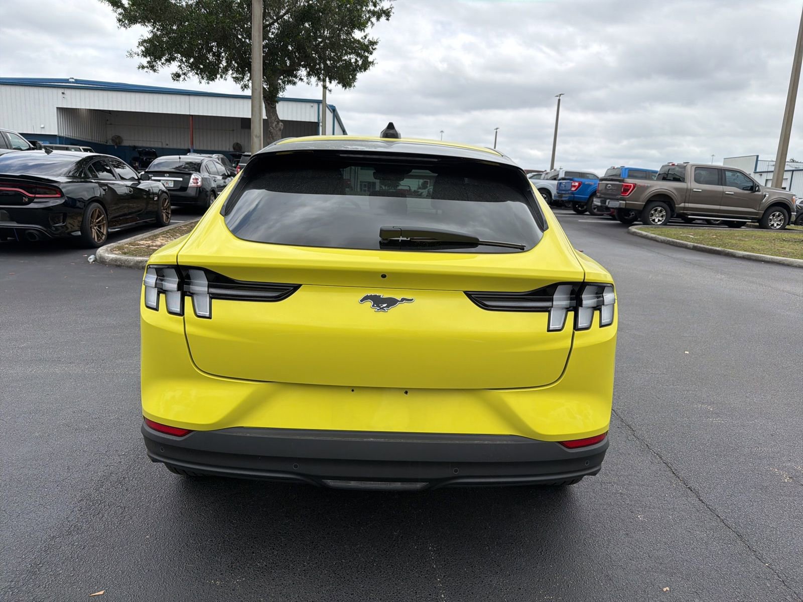 Certified 2025 Ford Mustang Mach-E Premium RWD image 9