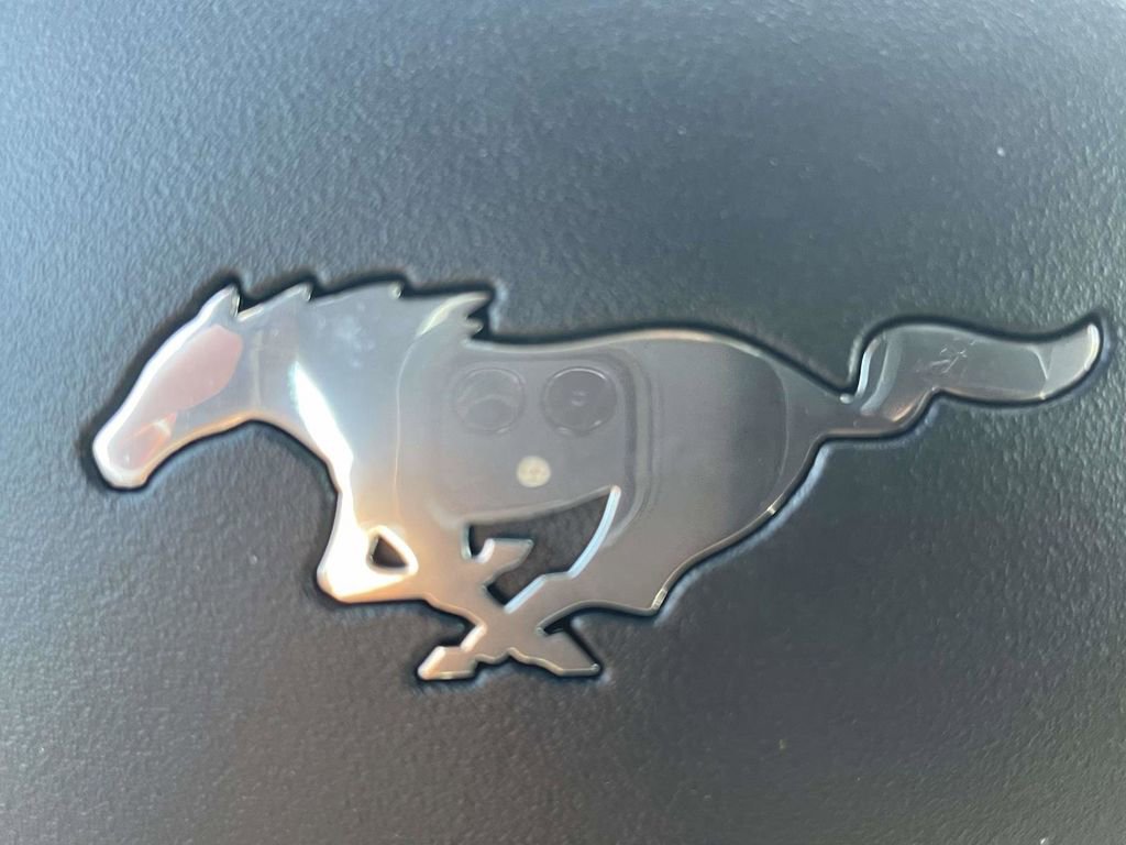 New 2026 Ford Mustang Coupe w/ Mustang Nite Pony Package image 24