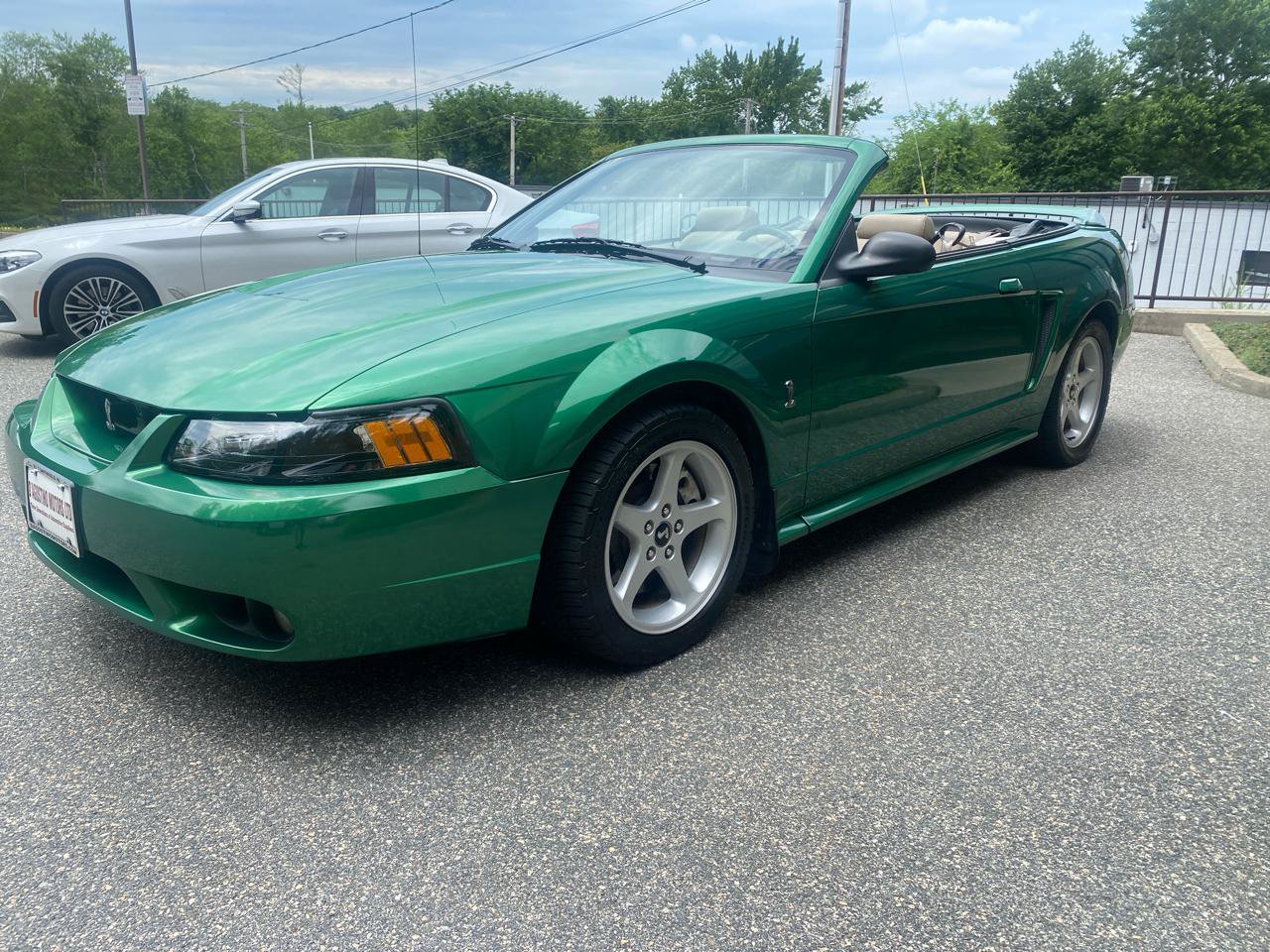 Used 1999 Ford Mustang Cobra RWD image 27