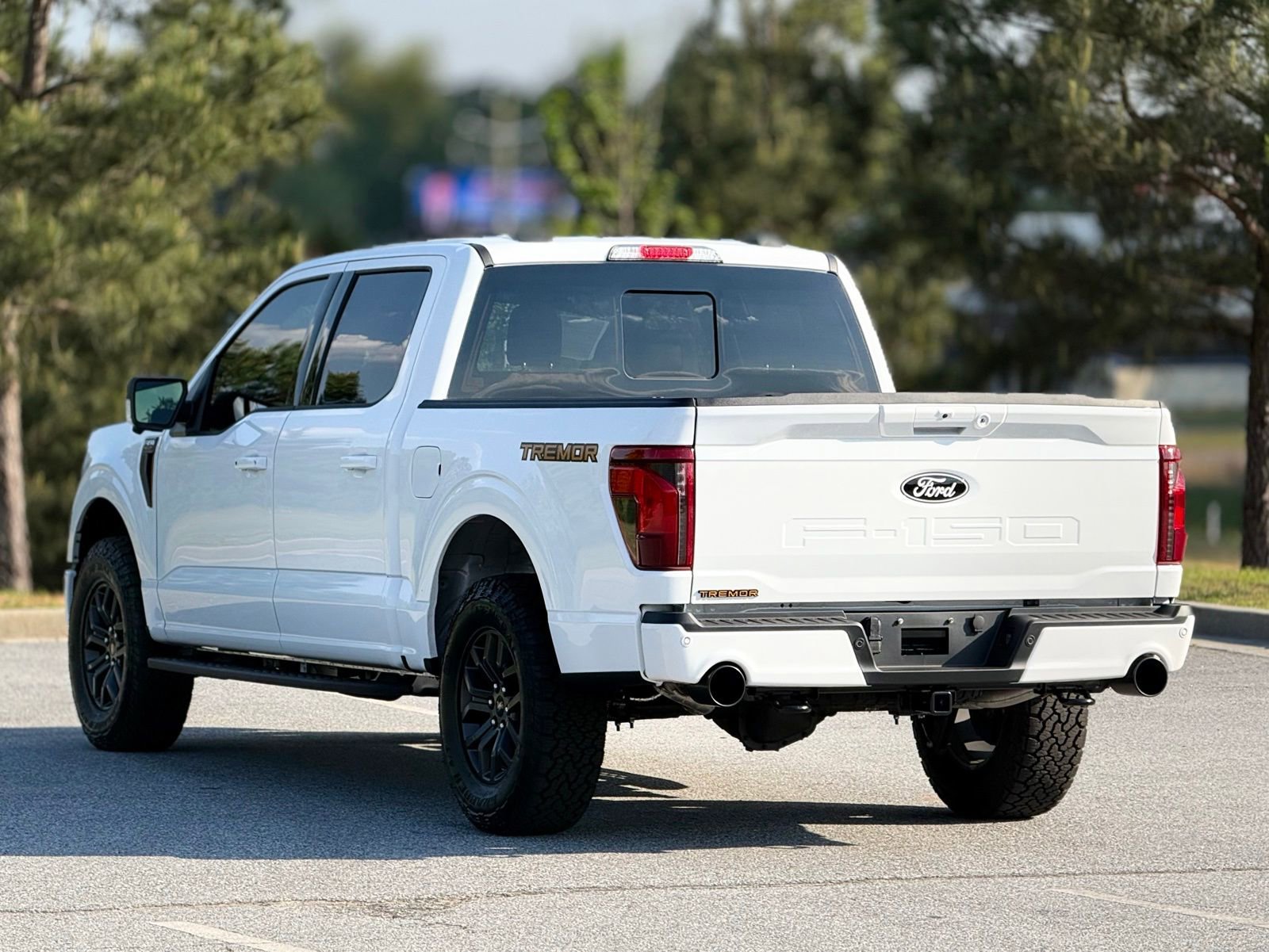 Used 2025 Ford F150 Tremor w/ Bed Utility Package AWD/4WD image 10