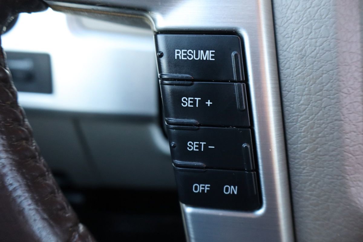 Used 2009 Ford F150 Platinum image 31