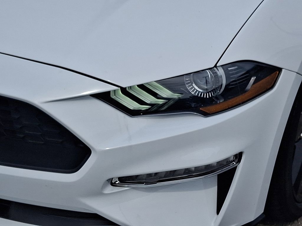 Used 2023 Ford Mustang EcoBoost w/ Mustang Nite Pony Package image 9