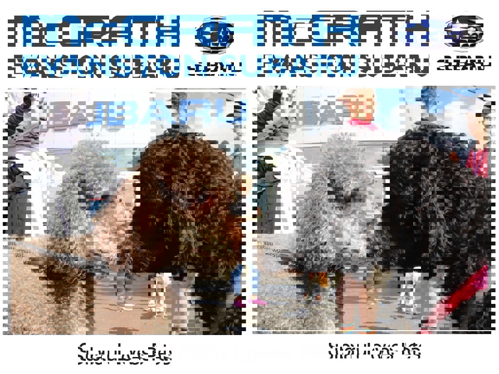 Used 2019 Jeep Wrangler Unlimited Sport S image 5