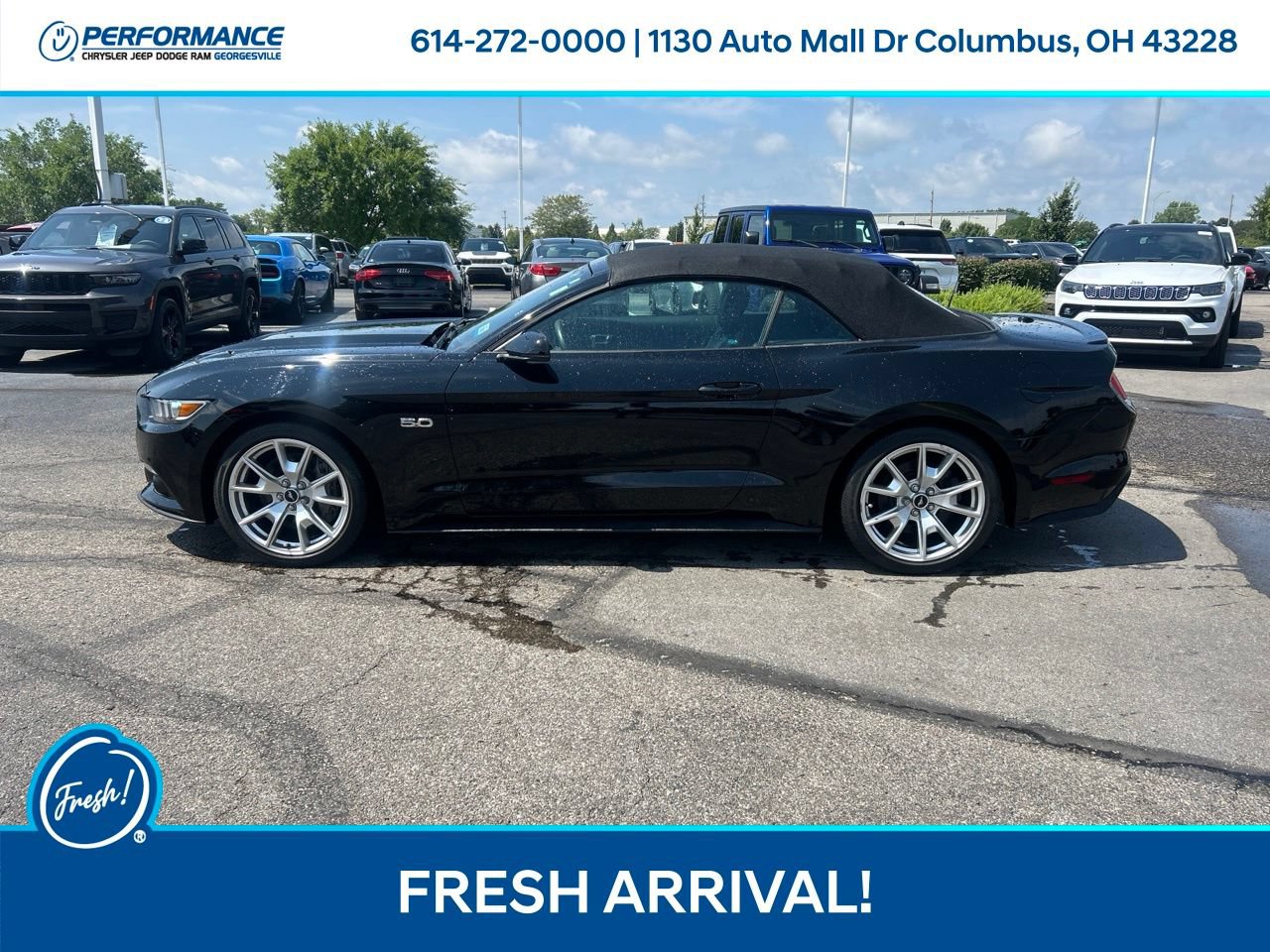 Used 2015 Ford Mustang GT Premium w/ Equipment Group 401A RWD image 7